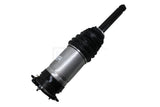 106746125C REAR LEFT OR RIGHT AIR SUSPENSION SPRING STRUT FOR TESLA MODEL S